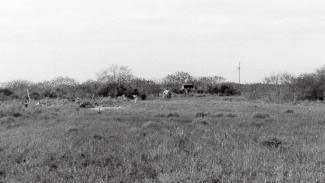 Palmito Ranch Battlefield