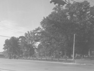 Sacred Heart Cemetery